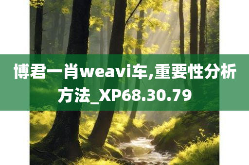 博君一肖weavi车,重要性分析方法_XP68.30.79