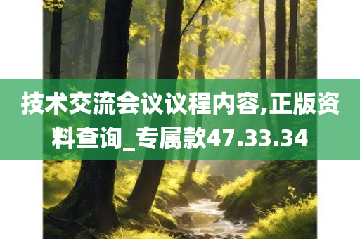 技术交流会议议程内容,正版资料查询_专属款47.33.34