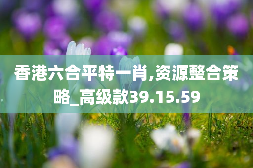 香港六合平特一肖,资源整合策略_高级款39.15.59