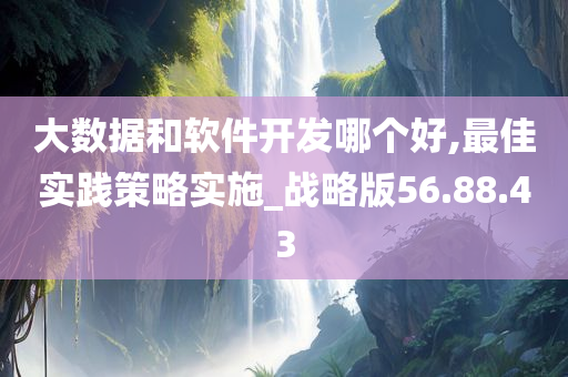 大数据和软件开发哪个好,最佳实践策略实施_战略版56.88.43