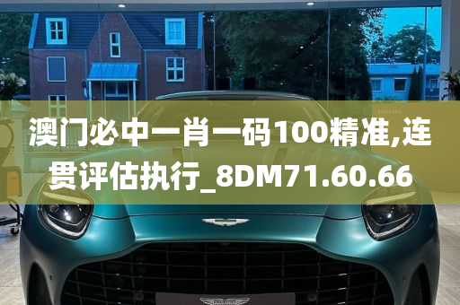 澳门必中一肖一码100精准,连贯评估执行_8DM71.60.66