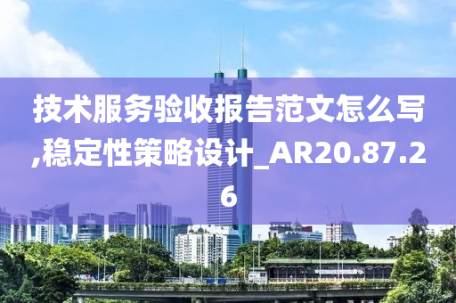 技术服务验收报告范文怎么写,稳定性策略设计_AR20.87.26