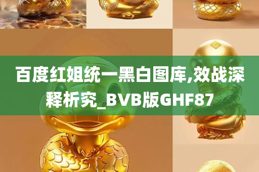 百度红姐统一黑白图库,效战深释析究_BVB版GHF87