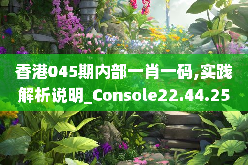 香港045期内部一肖一码,实践解析说明_Console22.44.25