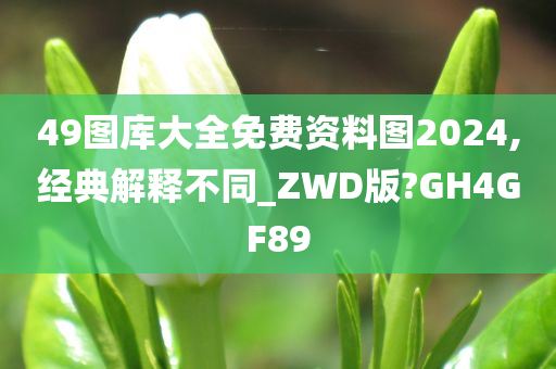 49图库大全免费资料图2024,经典解释不同_ZWD版?GH4GF89