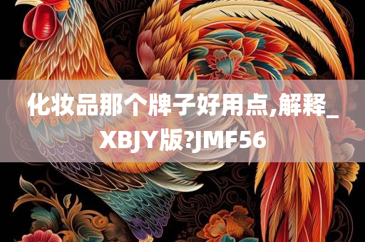 化妆品那个牌子好用点,解释_XBJY版?JMF56