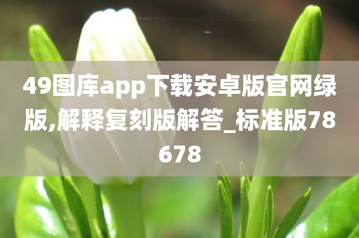 49图库app下载安卓版官网绿版,解释复刻版解答_标准版78678