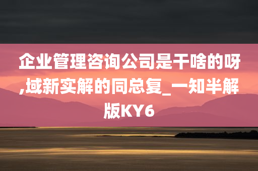 企业管理咨询公司是干啥的呀,域新实解的同总复_一知半解版KY6