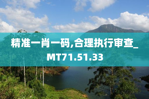 精准一肖一码,合理执行审查_MT71.51.33