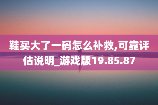 鞋买大了一码怎么补救,可靠评估说明_游戏版19.85.87