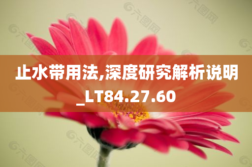 止水带用法,深度研究解析说明_LT84.27.60