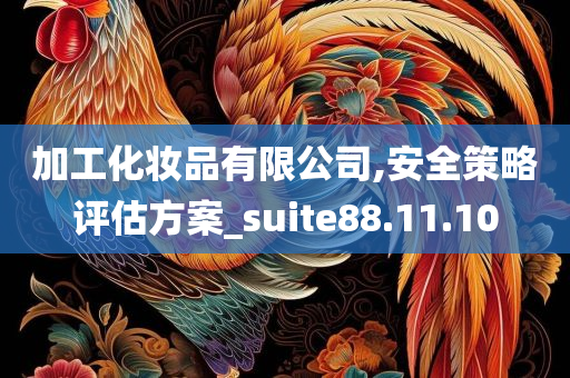 加工化妆品有限公司,安全策略评估方案_suite88.11.10