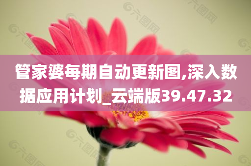 管家婆每期自动更新图,深入数据应用计划_云端版39.47.32