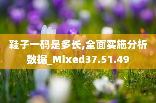 鞋子一码是多长,全面实施分析数据_Mixed37.51.49