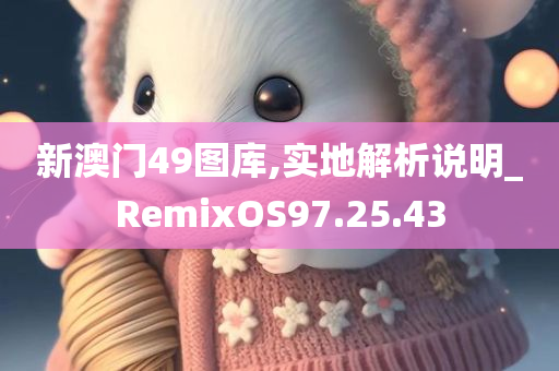 新澳门49图库,实地解析说明_RemixOS97.25.43