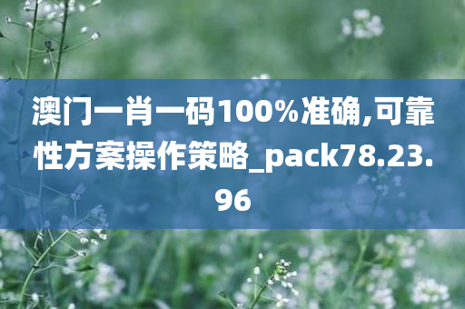 澳门一肖一码100%准确,可靠性方案操作策略_pack78.23.96