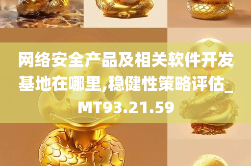 网络安全产品及相关软件开发基地在哪里,稳健性策略评估_MT93.21.59