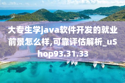 大专生学java软件开发的就业前景怎么样,可靠评估解析_uShop93.31.33