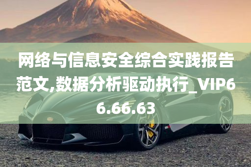 网络与信息安全综合实践报告范文,数据分析驱动执行_VIP66.66.63