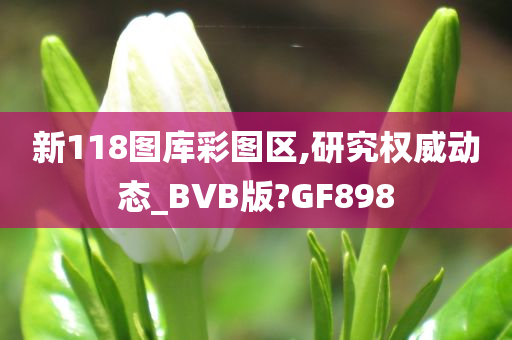 新118图库彩图区,研究权威动态_BVB版?GF898