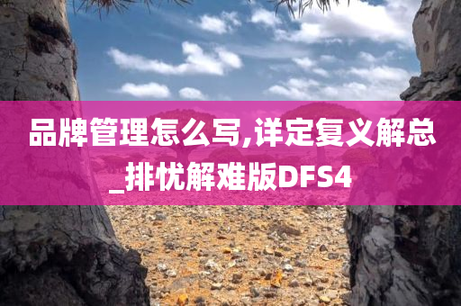 品牌管理怎么写,详定复义解总_排忧解难版DFS4