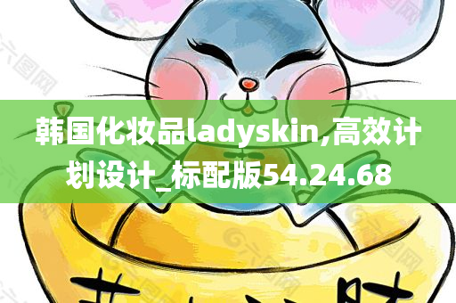 韩国化妆品ladyskin,高效计划设计_标配版54.24.68