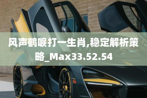 风声鹤唳打一生肖,稳定解析策略_Max33.52.54