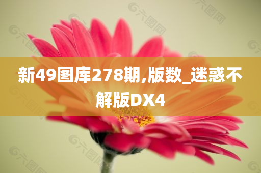 新49图库278期,版数_迷惑不解版DX4