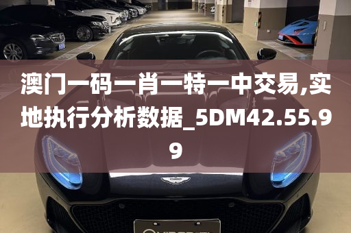 澳门一码一肖一特一中交易,实地执行分析数据_5DM42.55.99