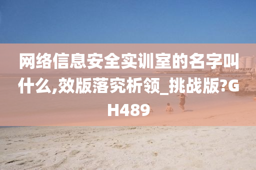 网络信息安全实训室的名字叫什么,效版落究析领_挑战版?GH489