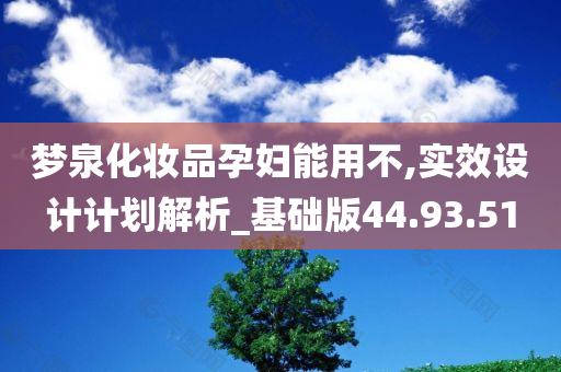 梦泉化妆品孕妇能用不,实效设计计划解析_基础版44.93.51