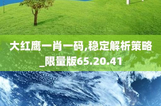 大红鹰一肖一码,稳定解析策略_限量版65.20.41