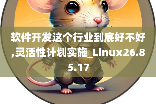 软件开发这个行业到底好不好,灵活性计划实施_Linux26.85.17