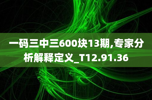 一码三中三600块13期,专家分析解释定义_T12.91.36