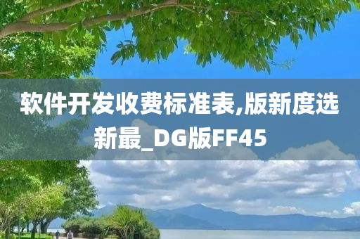 软件开发收费标准表,版新度选新最_DG版FF45