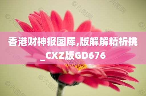 香港财神报图库,版解解精析挑_CXZ版GD676