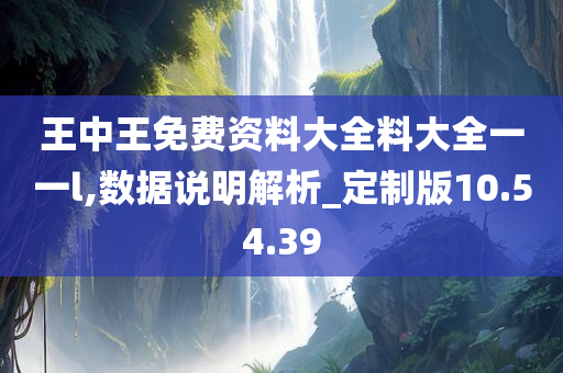 王中王免费资料大全料大全一一l,数据说明解析_定制版10.54.39