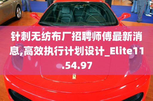 针刺无纺布厂招聘师傅最新消息,高效执行计划设计_Elite11.54.97