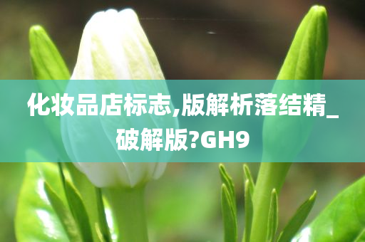 化妆品店标志,版解析落结精_破解版?GH9