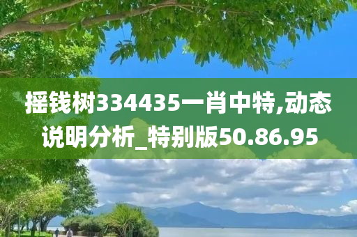 摇钱树334435一肖中特,动态说明分析_特别版50.86.95