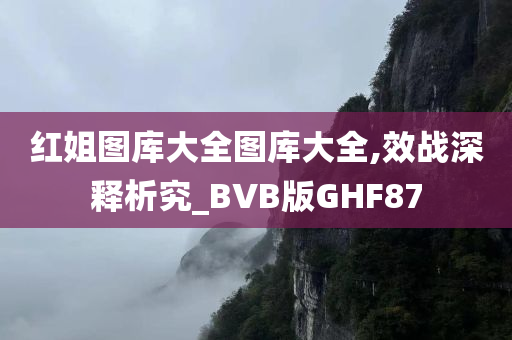 红姐图库大全图库大全,效战深释析究_BVB版GHF87