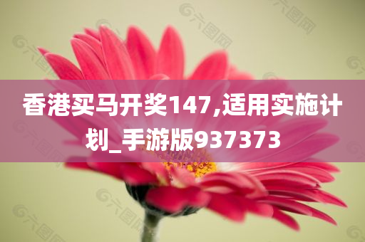 香港买马开奖147,适用实施计划_手游版937373