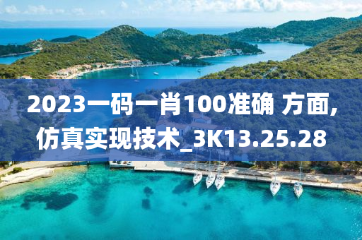 2023一码一肖100准确 方面,仿真实现技术_3K13.25.28