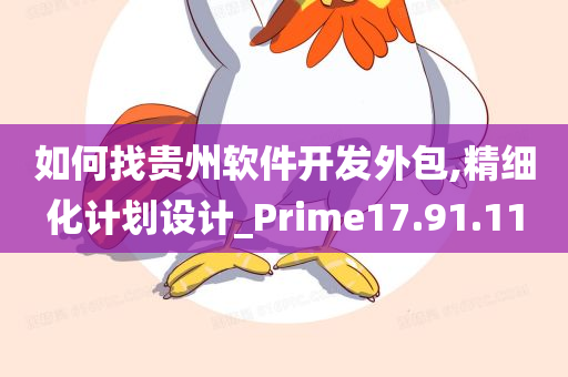 如何找贵州软件开发外包,精细化计划设计_Prime17.91.11