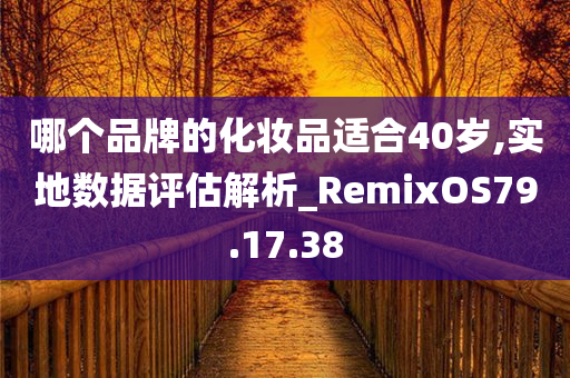 哪个品牌的化妆品适合40岁,实地数据评估解析_RemixOS79.17.38