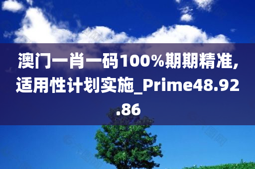 澳门一肖一码100%期期精准,适用性计划实施_Prime48.92.86