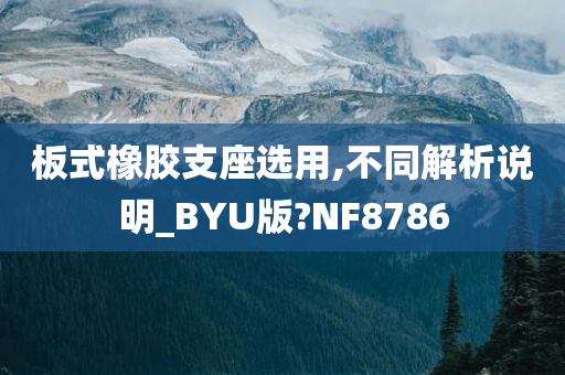 板式橡胶支座选用,不同解析说明_BYU版?NF8786