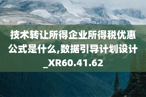 技术转让所得企业所得税优惠公式是什么,数据引导计划设计_XR60.41.62