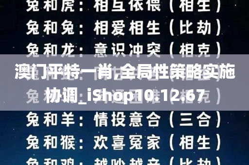 澳门平特一肖,全局性策略实施协调_iShop10.12.67