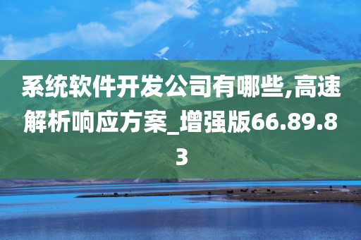 系统软件开发公司有哪些,高速解析响应方案_增强版66.89.83